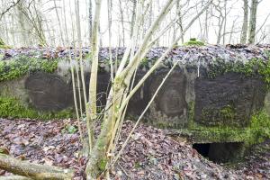 Ligne Maginot - SAINTE MARIE (168° RIF - 70° RAMF) - (PC de Sous-Secteur) - Annexe 1
Extension