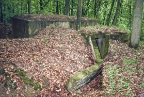 Ligne Maginot - CB203BIS - OBERHEIDE 06 - (Observatoire d'artillerie) - 