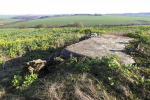 Ligne Maginot - COTE 334 OUEST - (Observatoire d'artillerie) - Etat en 2015.
Le propriétaire du champ s’est lâché......
