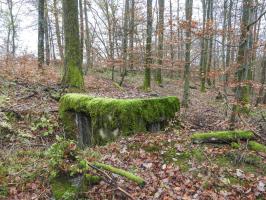 Ligne Maginot - LEGERET EST - (Blockhaus pour arme infanterie) - La vue arrière du blockhaus.