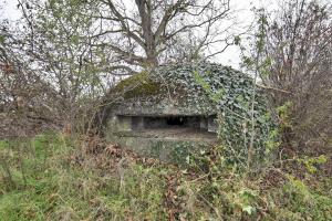 Ligne Maginot - 41C/3 - BLEINFELD SUD - (Blockhaus pour arme infanterie) - 