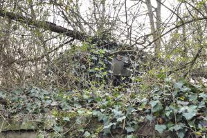 Ligne Maginot - 21/2 - CIMETIERE DES JUIFS - (Abri) - 