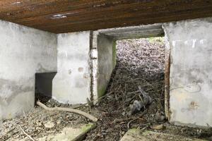 Ligne Maginot - CB132 - HIRTZWIESE - (Blockhaus pour canon) - 