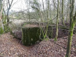 Ligne Maginot - BB312 - (Blockhaus pour arme infanterie) - La façade arrière.