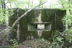 Ligne Maginot - KARPENLOCH - (Blockhaus pour canon) - 
