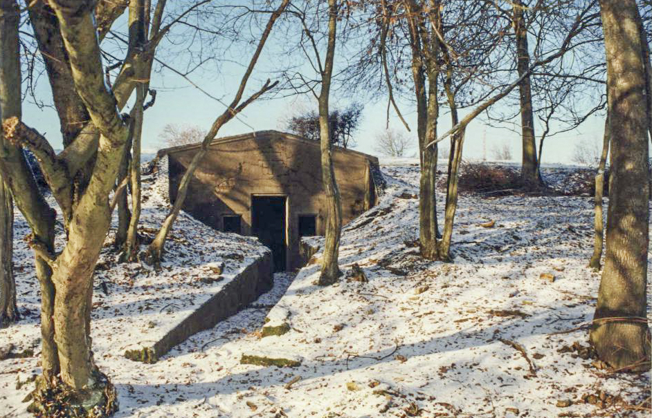 Ligne Maginot - HOHLWEG (7°CM - 169°RIF) - (PC de Sous-Quartier) - Vue de la facade maconnée du PC ornée d'une croix de Lorraine - Sylvie Laure LAMBERT