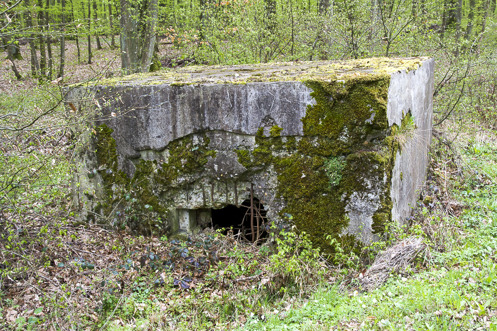Ligne Maginot - KANFENER BUSCH 1 - (Blockhaus pour arme infanterie) -  - Michel Teiten