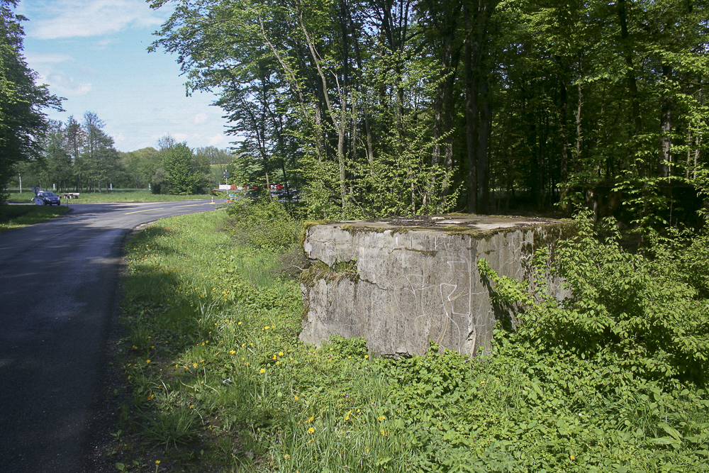 Ligne Maginot - KANFENER BUSCH 1 - (Blockhaus pour arme infanterie) -  - Michel Teiten