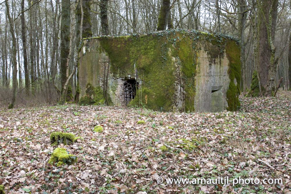 Ligne Maginot - KANFENER BUSCH 4 - (Blockhaus pour arme infanterie) -  - www.arnaultjl-photo.com