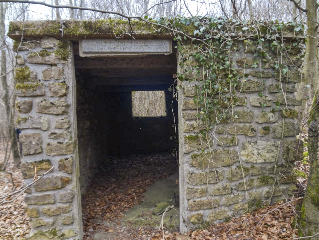 Ligne Maginot - MOLVANGE - (Casernement) - Ruines du casernement léger - Michel Teiten