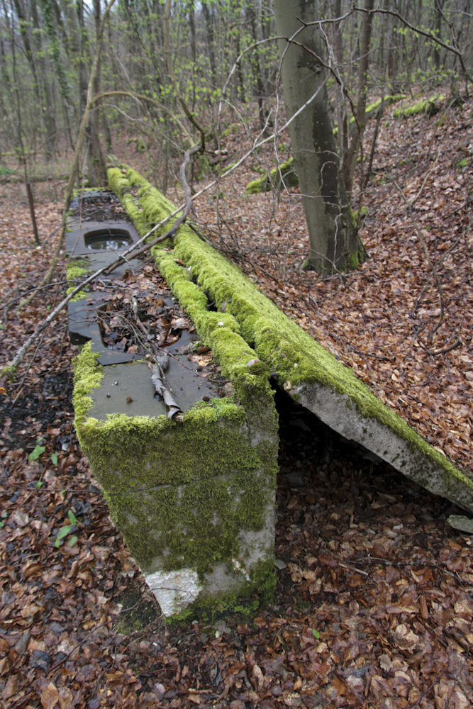 Ligne Maginot - MOLVANGE - (Casernement) - Mangeoire pour chevaux - Michel Teiten