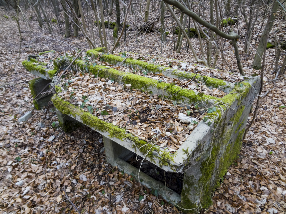Ligne Maginot - MOLVANGE - (Casernement) - Ruines du casernement léger - Michel Teiten