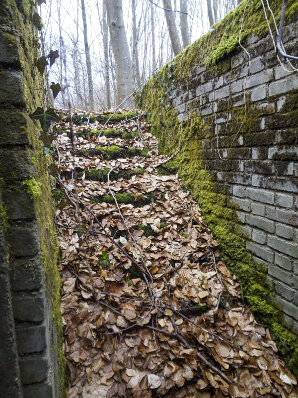 Ligne Maginot - MOLVANGE - (Casernement) - Ruines du casernement - Michel Teiten