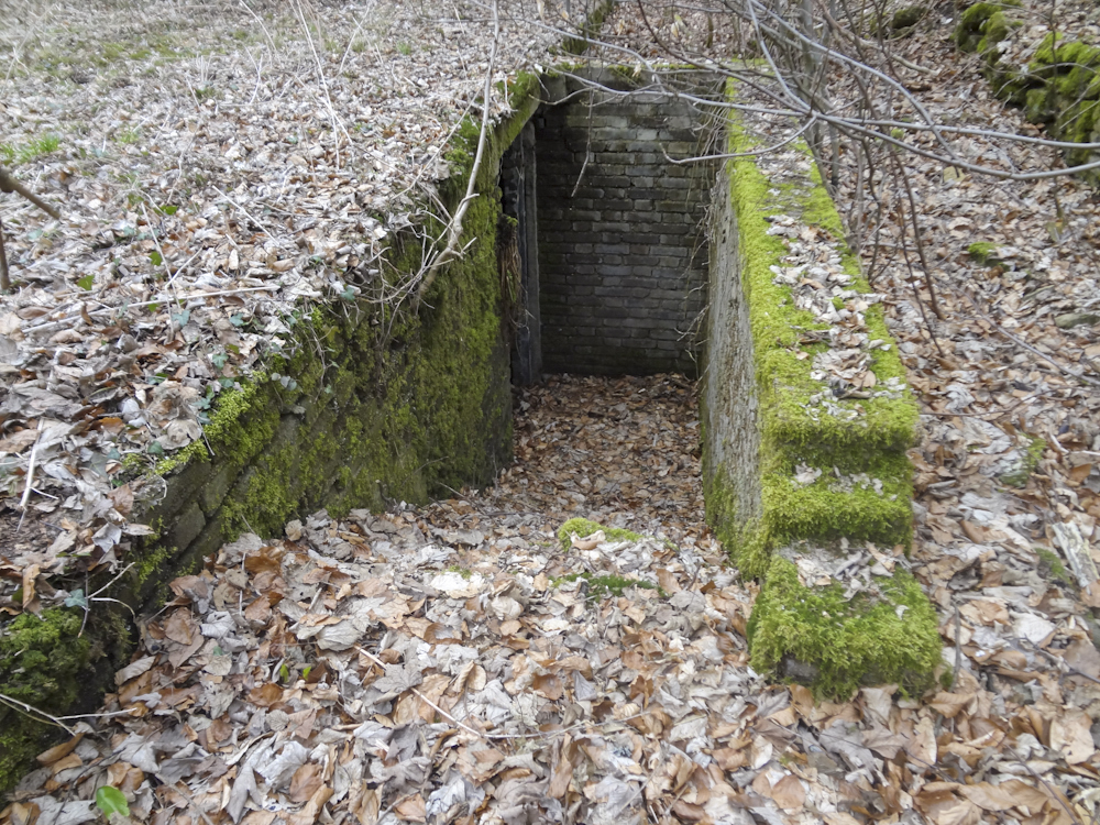 Ligne Maginot - MOLVANGE - (Casernement) - Ruines du casernement léger - Michel Teiten