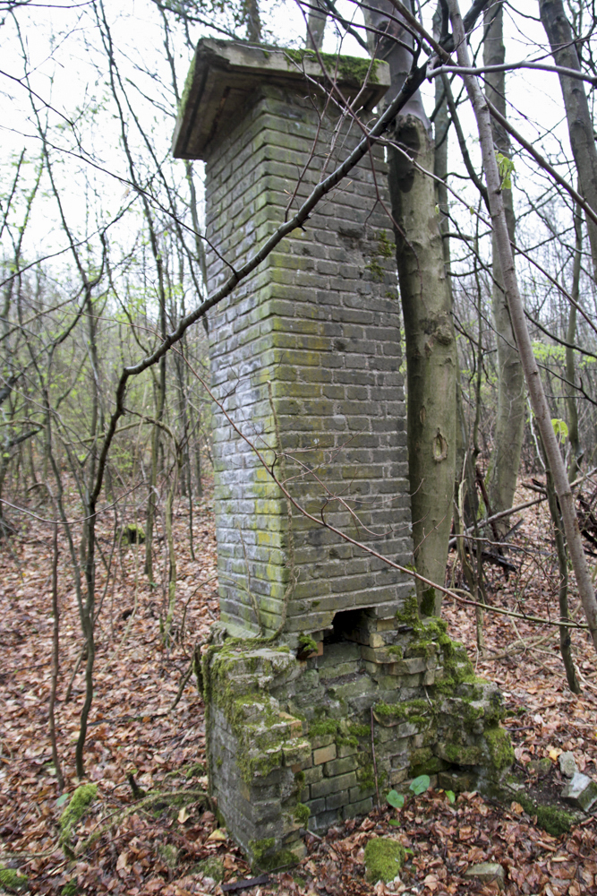 Ligne Maginot - MOLVANGE - (Casernement) - Ruines du casernement léger - Michel Teiten