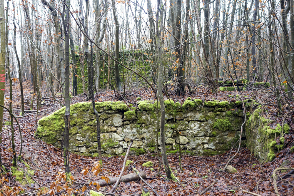 Ligne Maginot - MOLVANGE - (Casernement) - Ruines du casernement léger - Michel Teiten