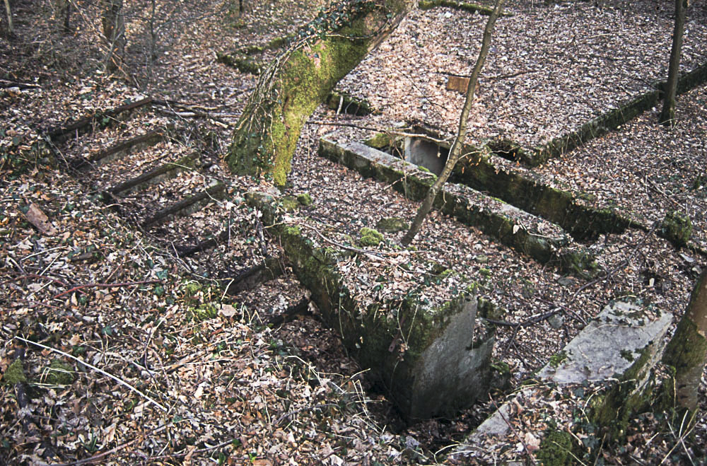 Ligne Maginot - ROCHONVILLERS (CASERNEMENT) - (Casernement) - Vestiges du casernement léger de l'ouvrage de Rochonvillers - Michel Teiten