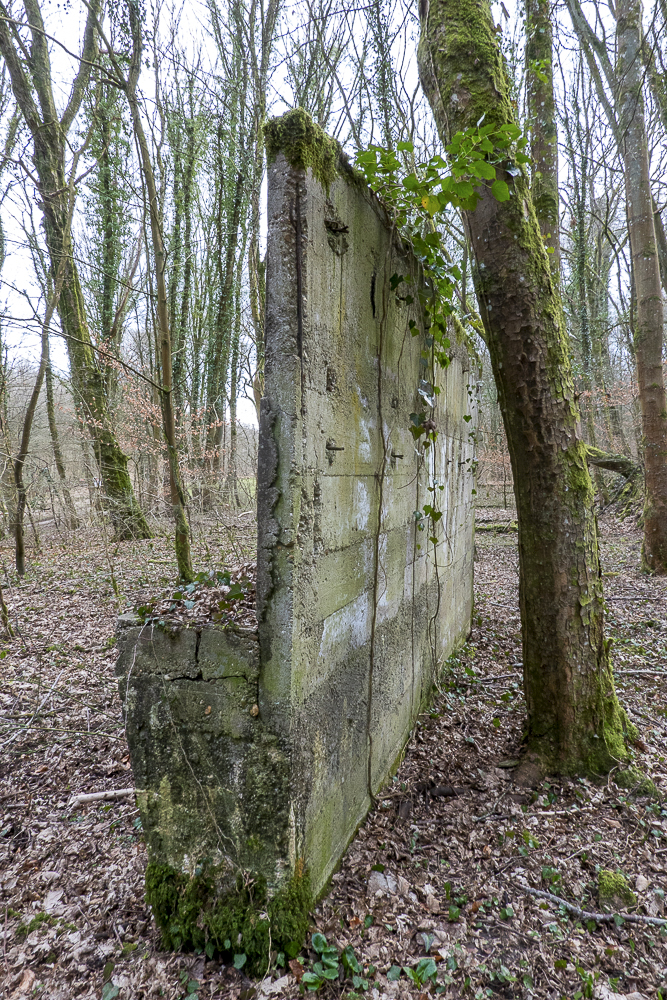 Ligne Maginot - ROCHONVILLERS - (Casernement) - Vestiges du casernement léger de l'ouvrage de Rochonvillers - Michel Teiten