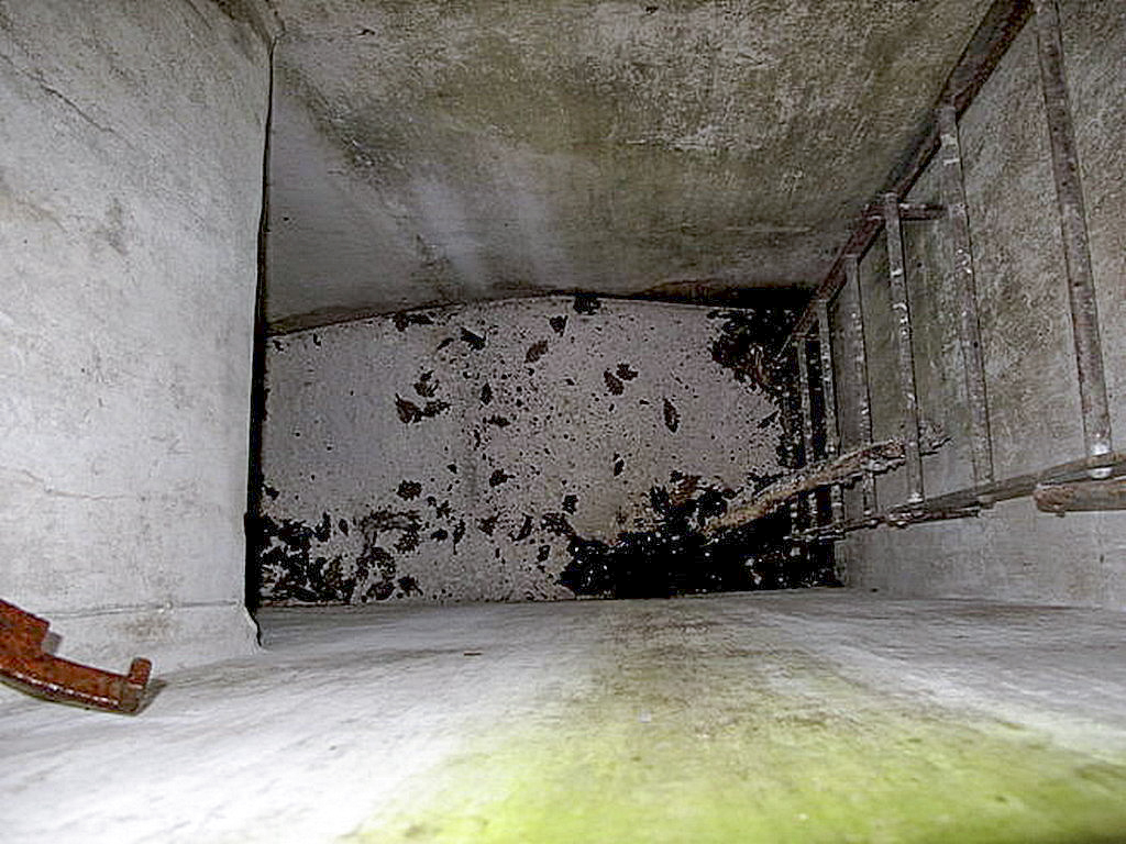 Ligne Maginot - 22TBIS - (Chambre de coupure) -    - Sylvie Laure LAMBERT
