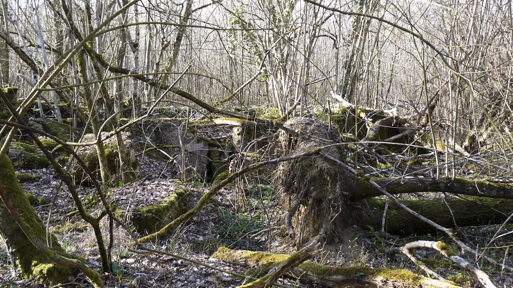 Ligne Maginot - BOIS KARRE - (Casernement) -  - Sylvie Laure LAMBERT