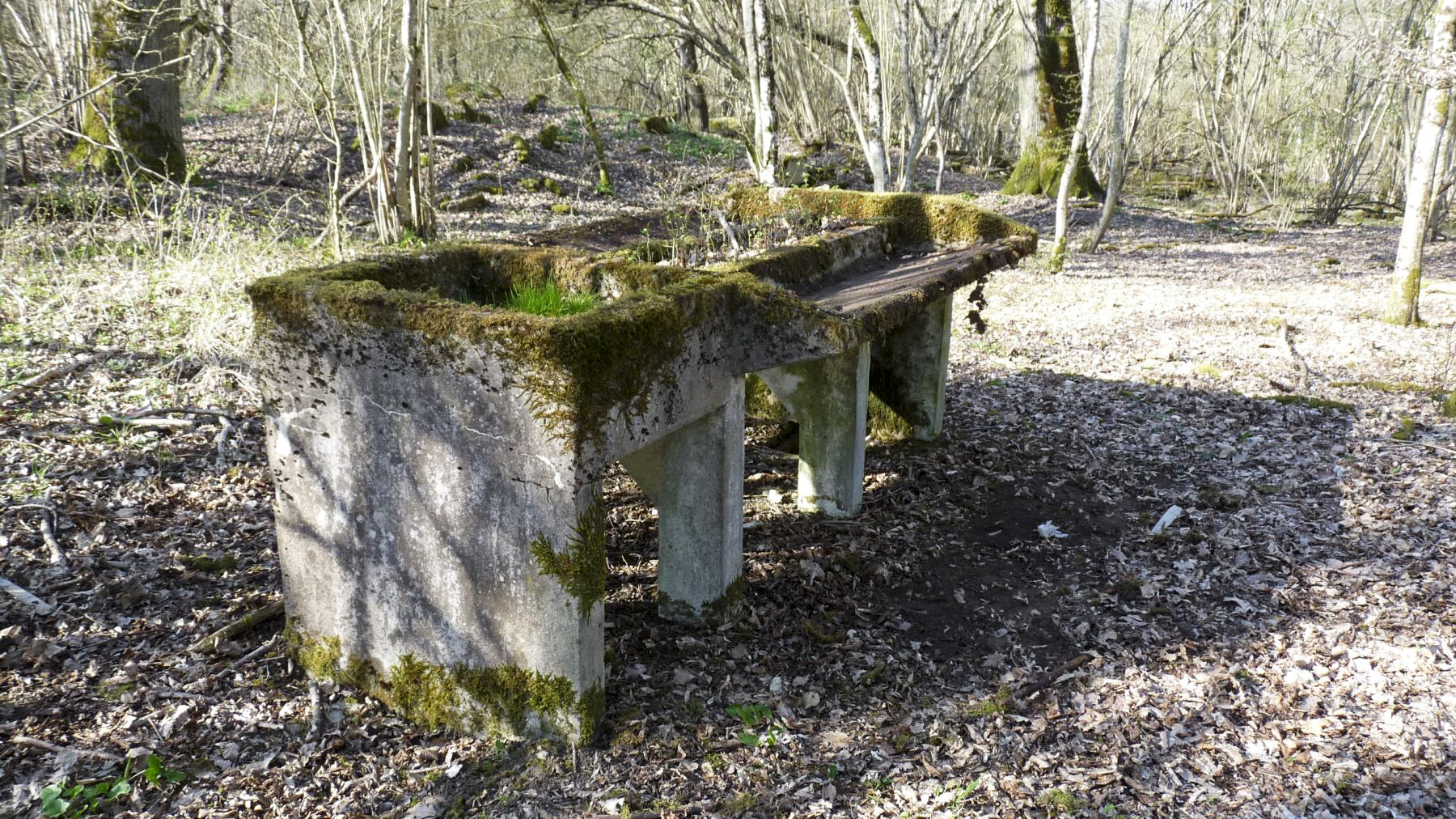 Ligne Maginot - BOIS KARRE - (Casernement) -  - Sylvie Laure LAMBERT