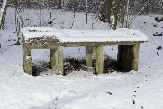 Ligne Maginot - BOIS KARRE - (Casernement) -  - www.arnaultjl-photo.com