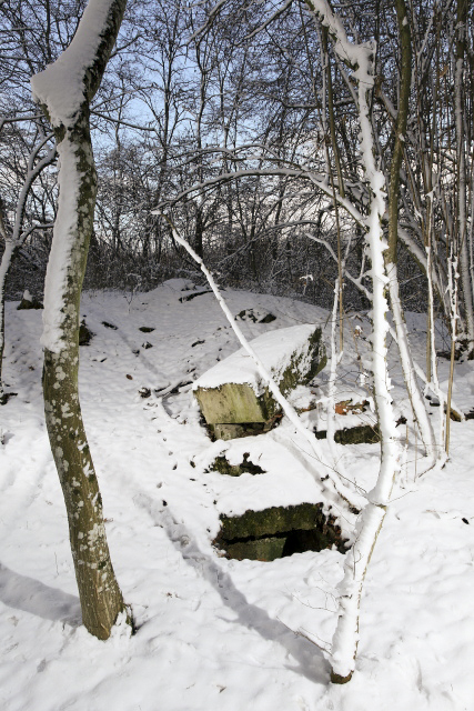 Ligne Maginot - BOIS KARRE - (Casernement) - Vestiges - www.arnaultjl-photo.com
