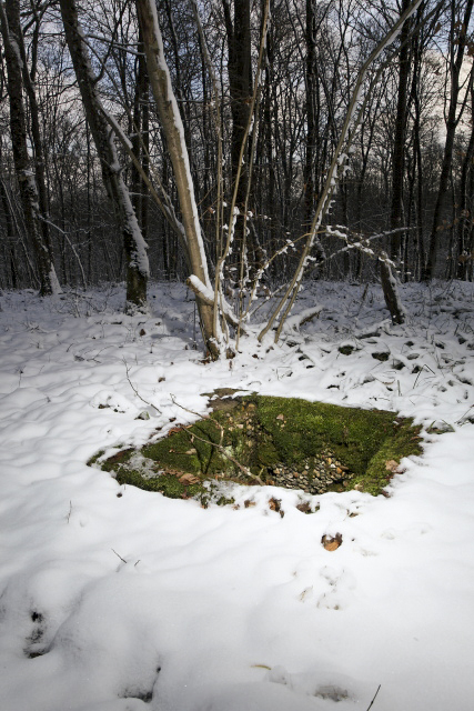 Ligne Maginot - BOIS KARRE - (Casernement) - Vestiges - www.arnaultjl-photo.com