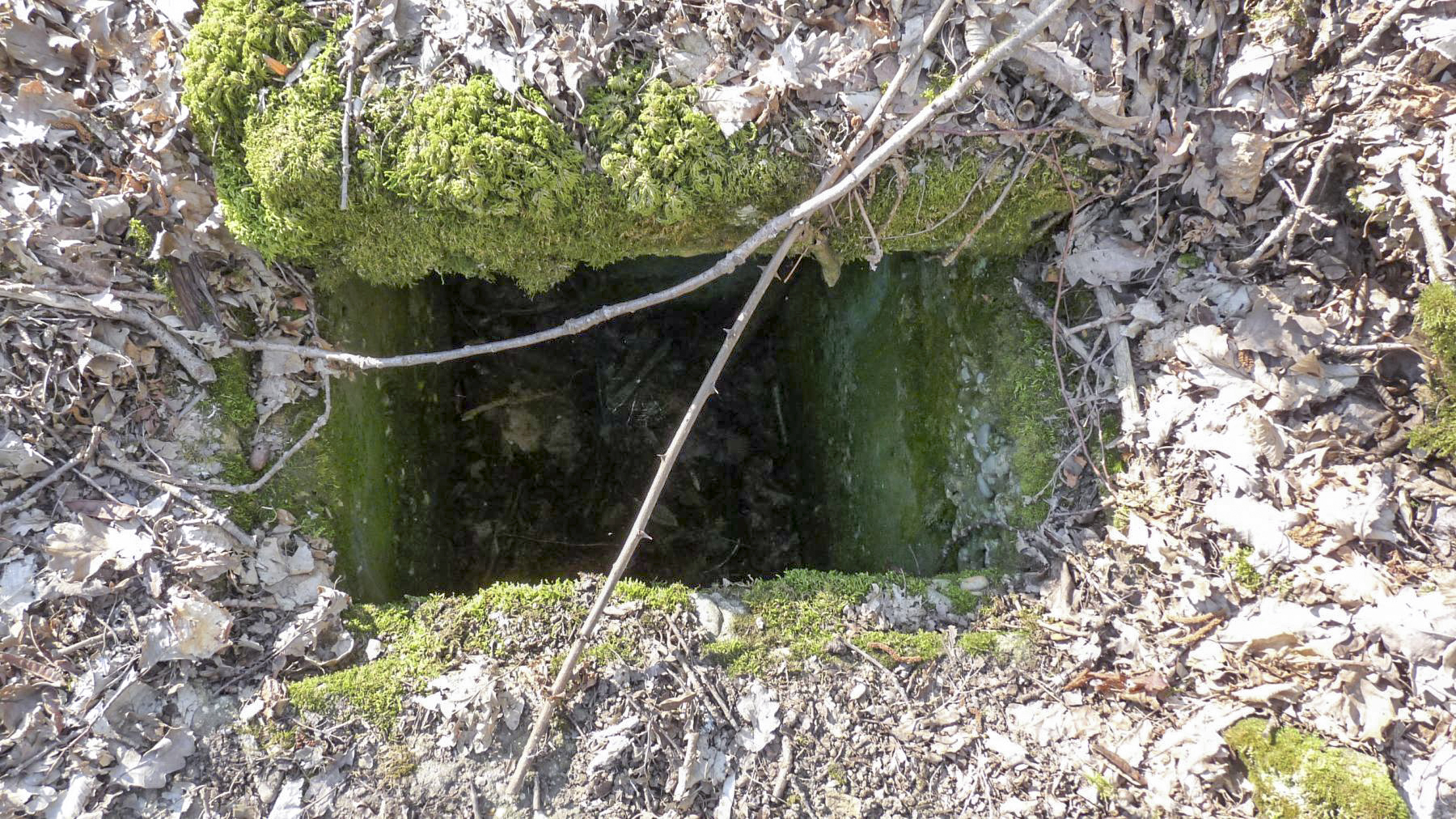 Ligne Maginot - BOIS KARRE - (Casernement) -  - Sylvie Laure LAMBERT