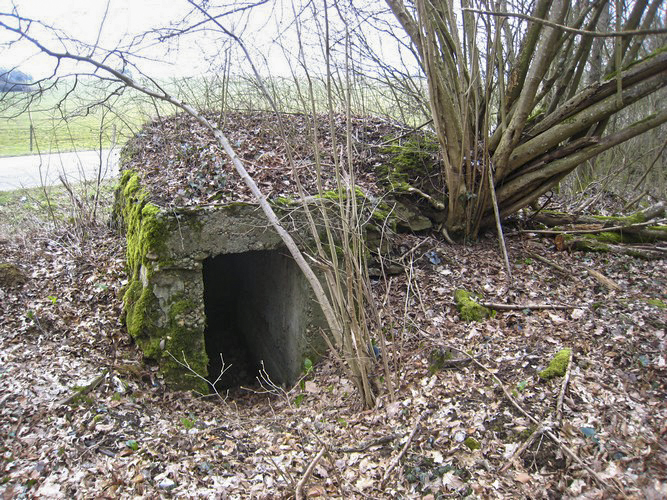 Ligne Maginot - CB73-C - KUHDRECK 1 - (Blockhaus pour arme infanterie) - L'entrée - Pruzsina Jérome