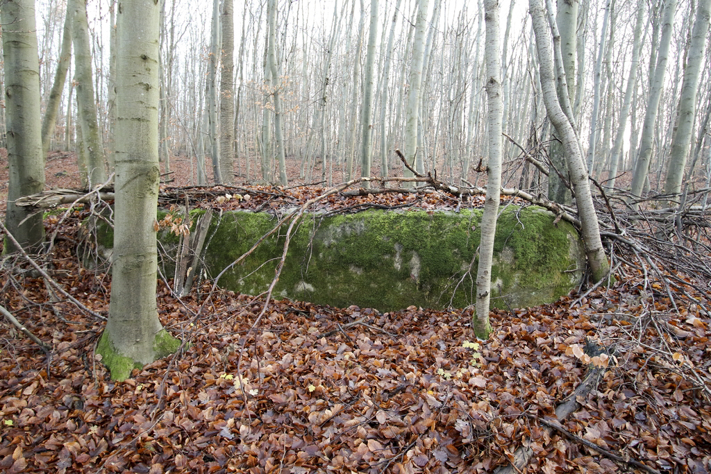Ligne Maginot - H52 - (Chambre de coupure) -  - GRUBER Franck