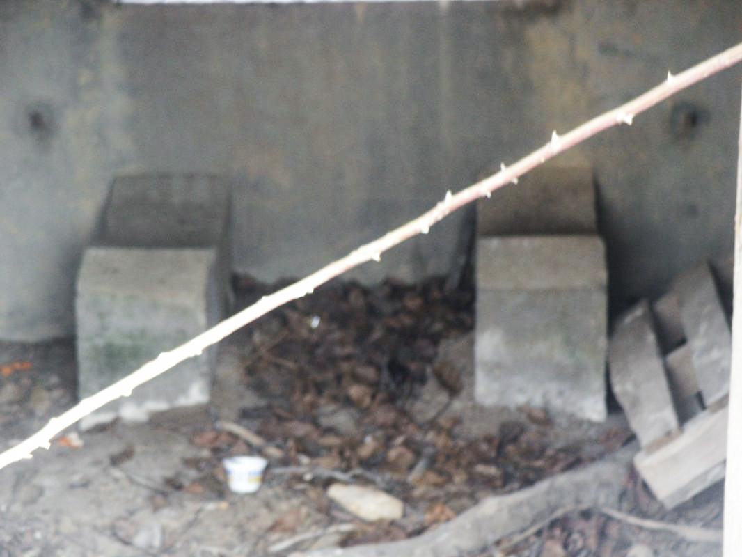 Ligne Maginot - CB118 - UNTERHAUSEN - (Blockhaus pour canon) - Le support de l'essieu du canon AC - jpr