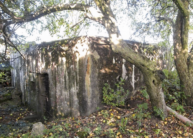 Ligne Maginot - CB179 - HOMELDANGE - (Blockhaus pour canon) -  - Jean-Louis AUBLET & Sylvie MAINGUIN