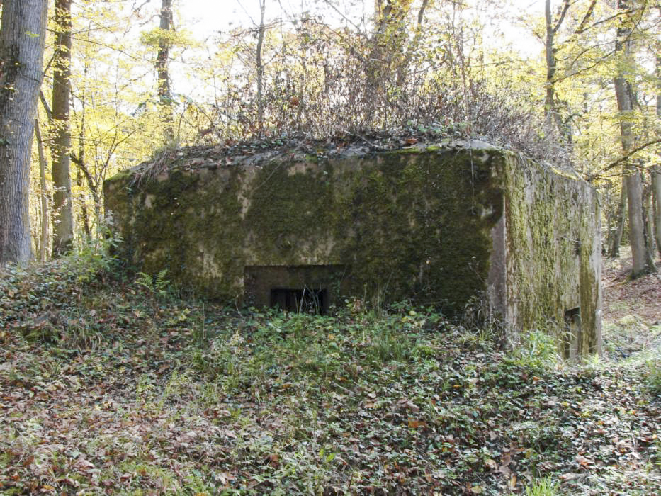 Ligne Maginot - CB234 - RIPPERT 2 - (Blockhaus pour arme infanterie) -  - Schnoupf