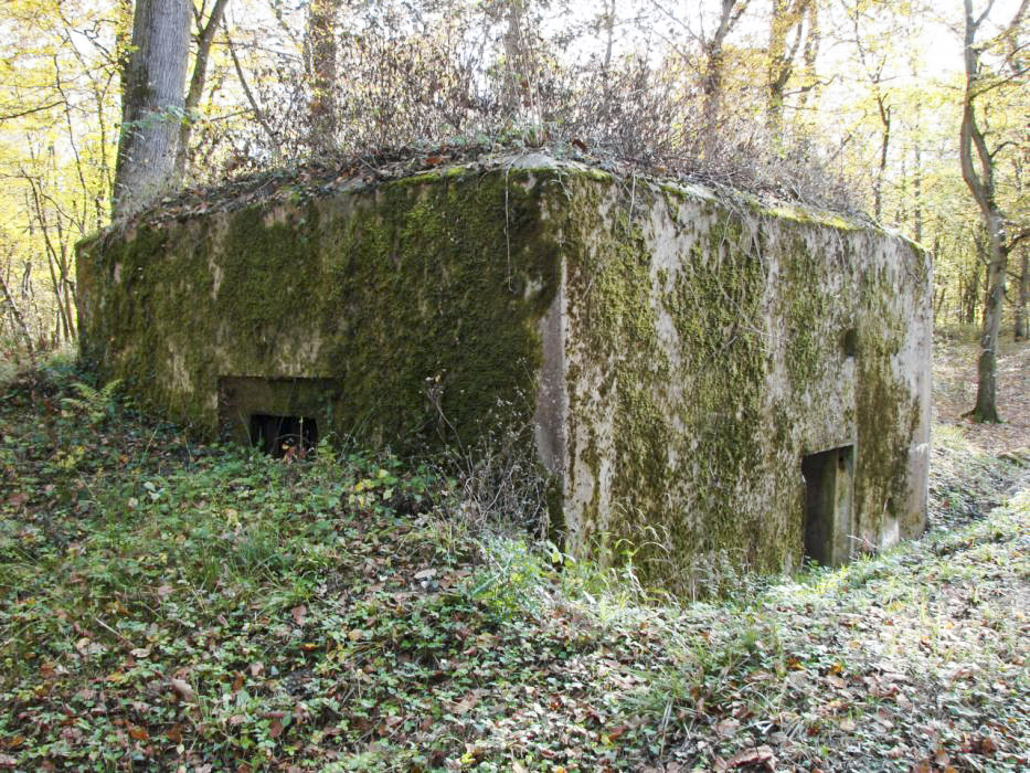 Ligne Maginot - CB234 - RIPPERT 2 - (Blockhaus pour arme infanterie) -  - Schnoupf