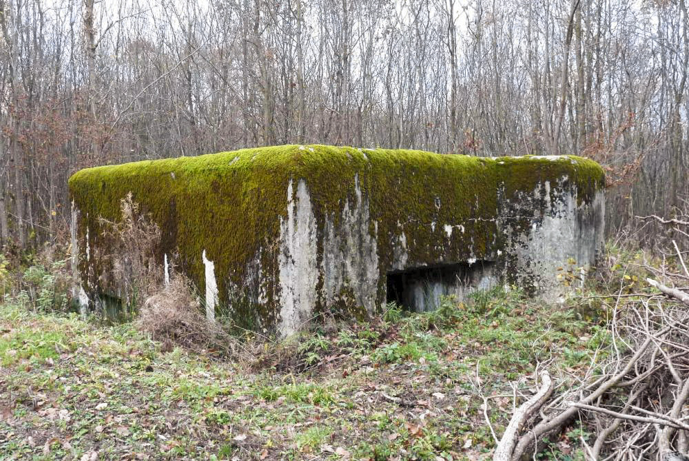 Ligne Maginot - CB235 - RIPPERT 1 - (Blockhaus pour canon) -  - Pascal LAMBERT
