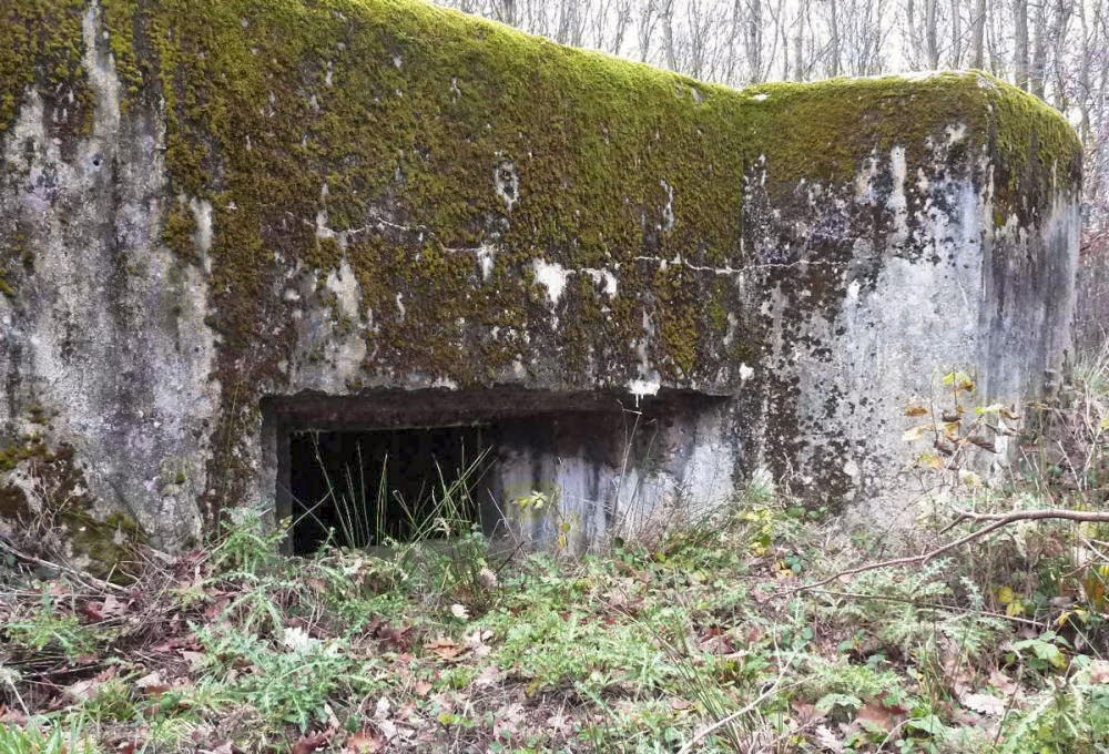 Ligne Maginot - CB235 - RIPPERT 1 - (Blockhaus pour canon) -  - Pascal LAMBERT