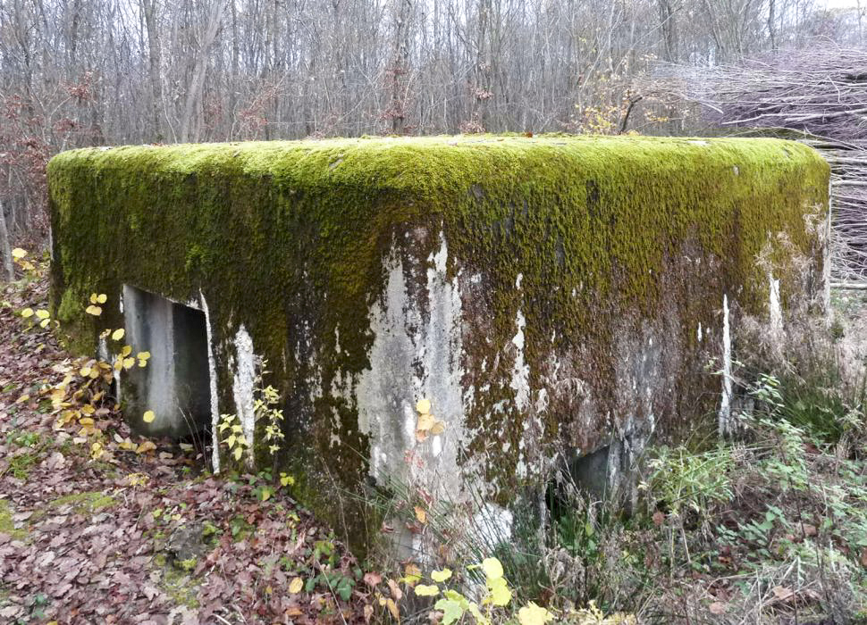 Ligne Maginot - CB235 - RIPPERT 1 - (Blockhaus pour canon) - Vue sur l'entrée pour la pièce et l'entrée du personnel. - Pascal LAMBERT