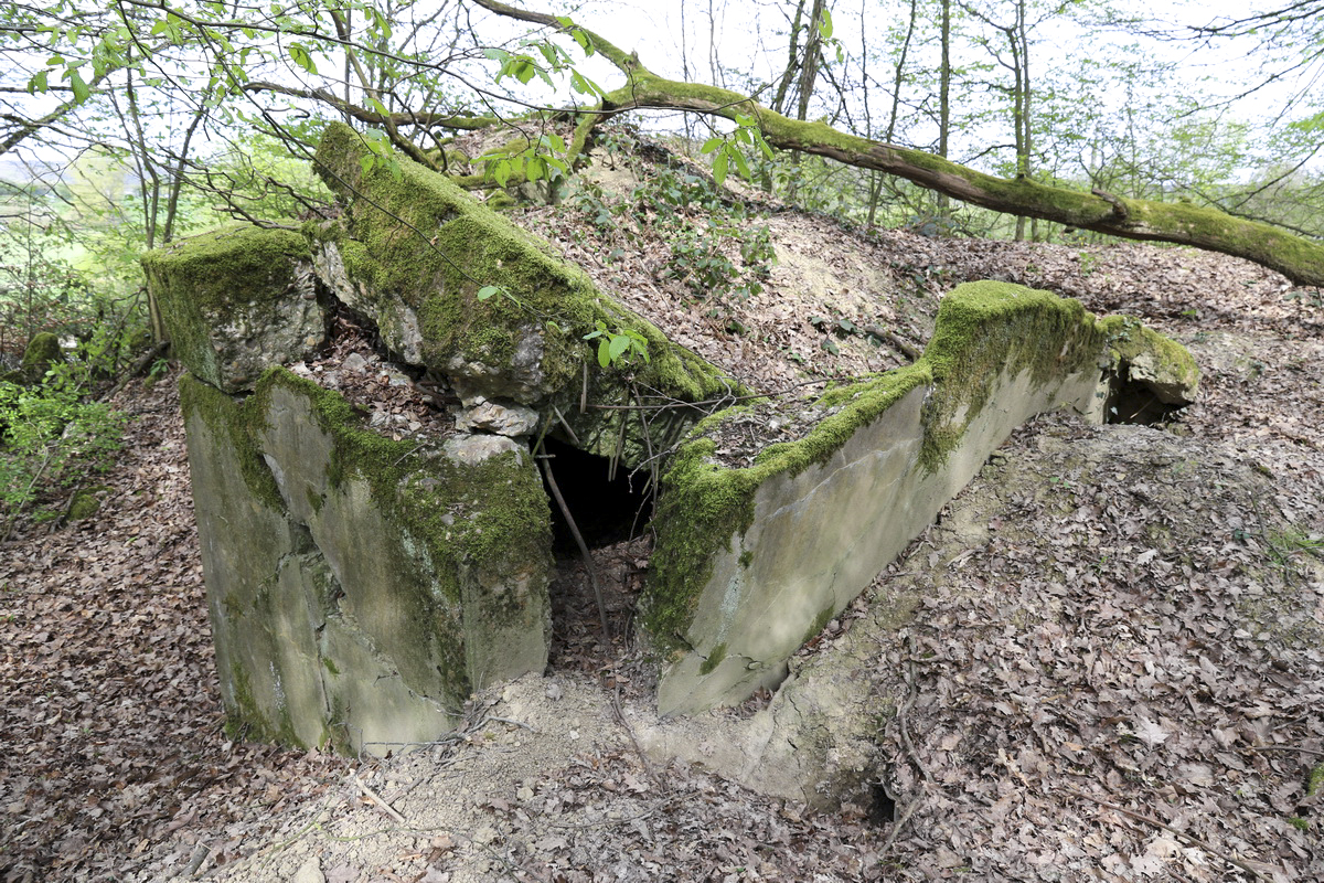 Ligne Maginot - CB237 - STRESSLING 2 - (Blockhaus pour canon) -  - Alain Perouffe