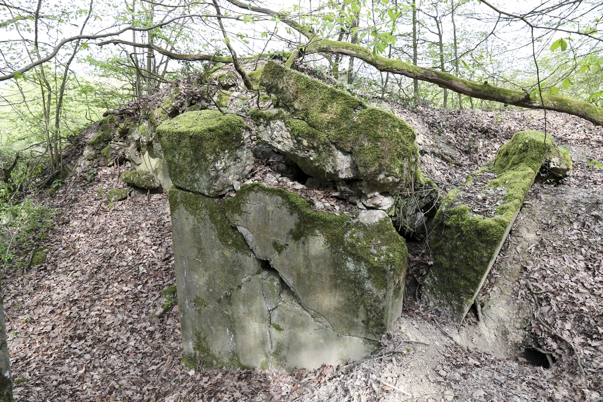 Ligne Maginot - CB237 - STRESSLING 2 - (Blockhaus pour canon) -  - Alain Perouffe