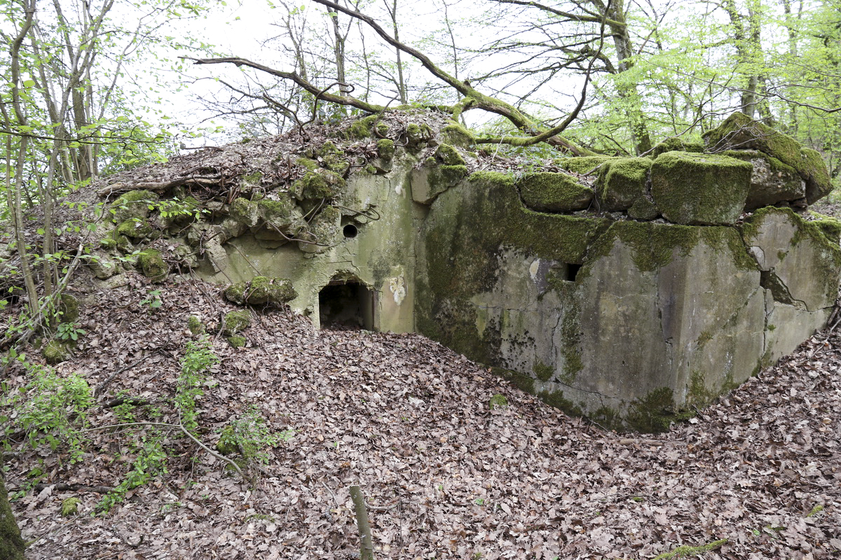 Ligne Maginot - CB237 - STRESSLING 2 - (Blockhaus pour canon) -  - Alain Perouffe