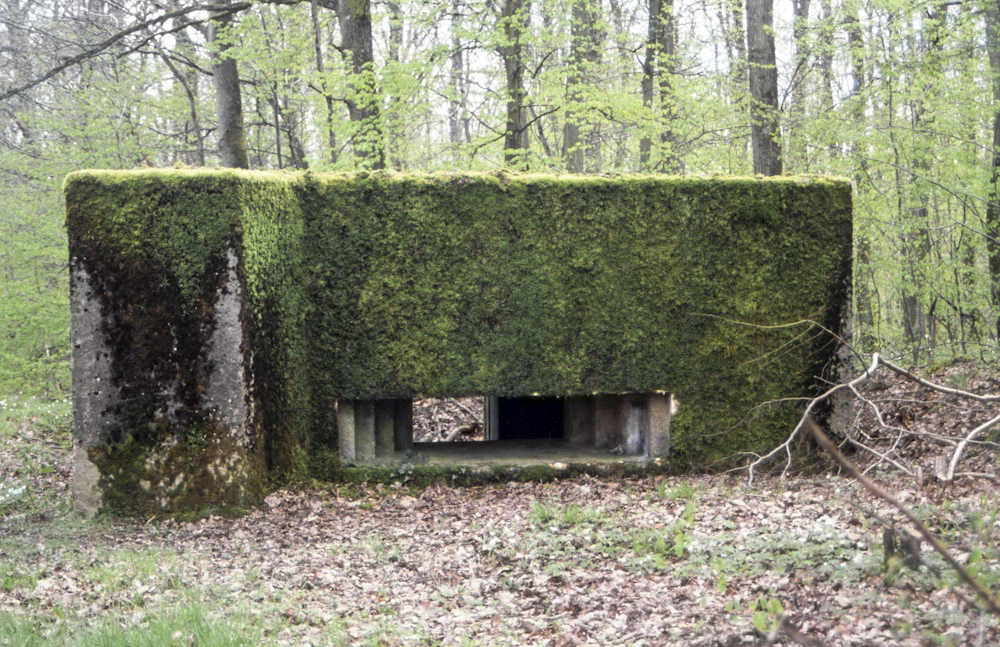 Ligne Maginot - CB249 - HELMREICH 2 - (Blockhaus pour canon) - Vue frontale du créneau - Michel Teiten