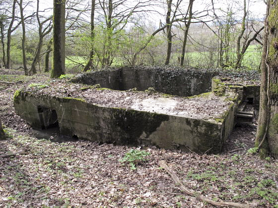 Ligne Maginot - CB256 - BOIS DE ZEITERHOLZ SUD - (Blockhaus pour canon) -  - AALMA - www.lignemaginot.com