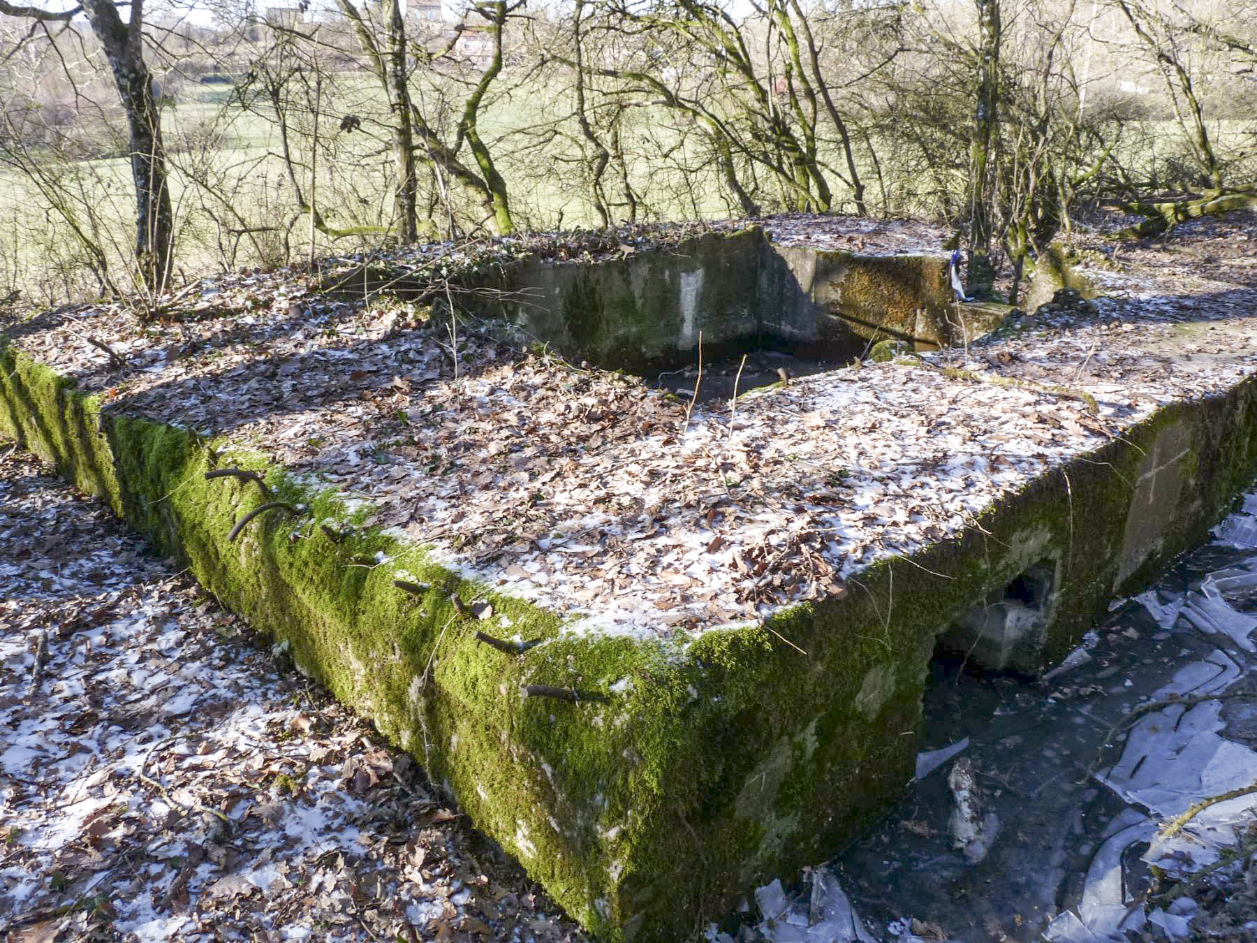 Ligne Maginot - CB256 - BOIS DE ZEITERHOLZ SUD - (Blockhaus pour canon) -  - Sylvie Laure LAMBERT