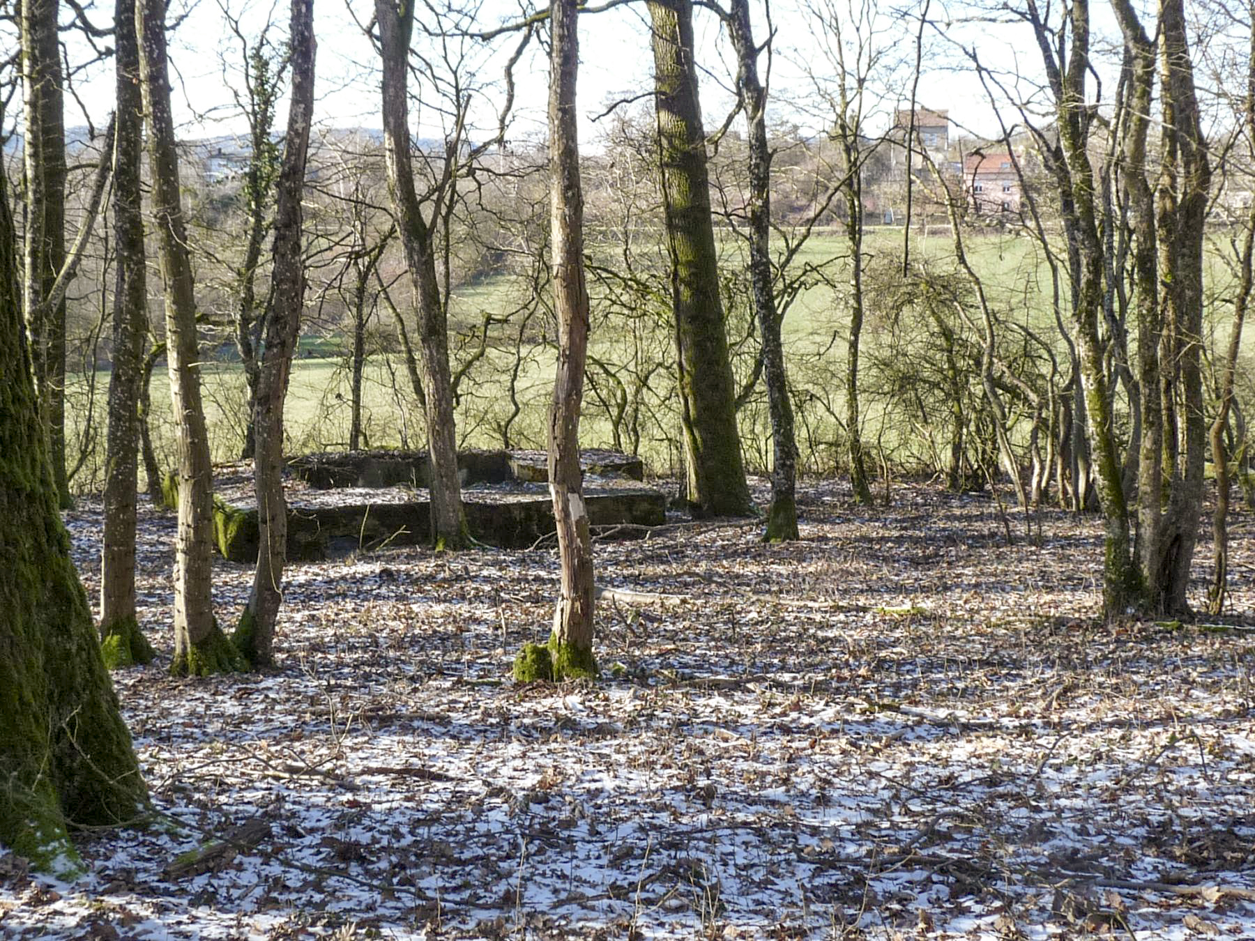 Ligne Maginot - CB256 - BOIS DE ZEITERHOLZ SUD - (Blockhaus pour canon) -  - Sylvie Laure LAMBERT
