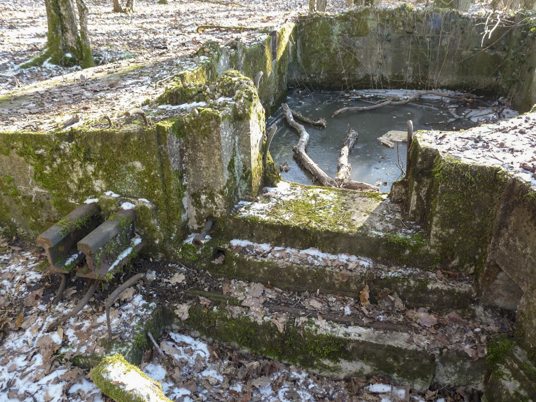 Ligne Maginot - CB256 - BOIS DE ZEITERHOLZ SUD - (Blockhaus pour canon) -  - Sylvie Laure LAMBERT