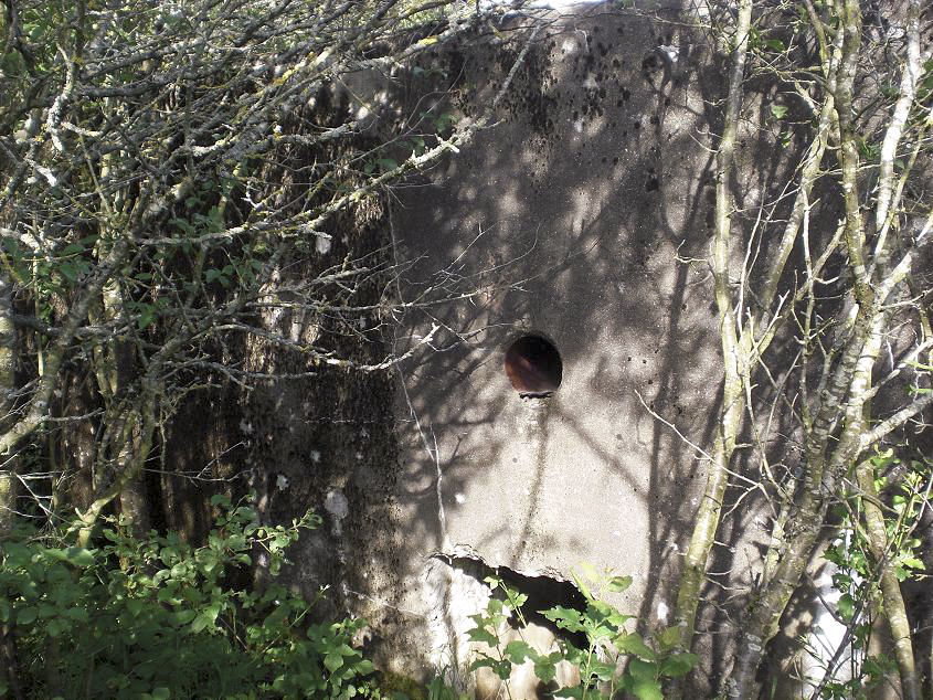 Ligne Maginot - CB257 - CIMETIERE D'HETTANGE - (Blockhaus pour arme infanterie) - L'entrée - Frantz
