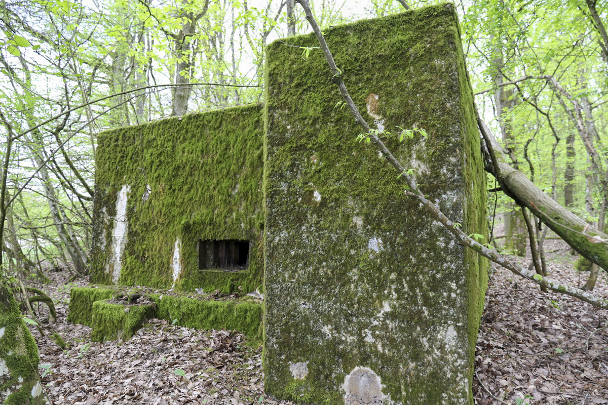 Ligne Maginot - CB260 - STRESSLING 1 - (Blockhaus pour arme infanterie) -  - Alain Perouffe