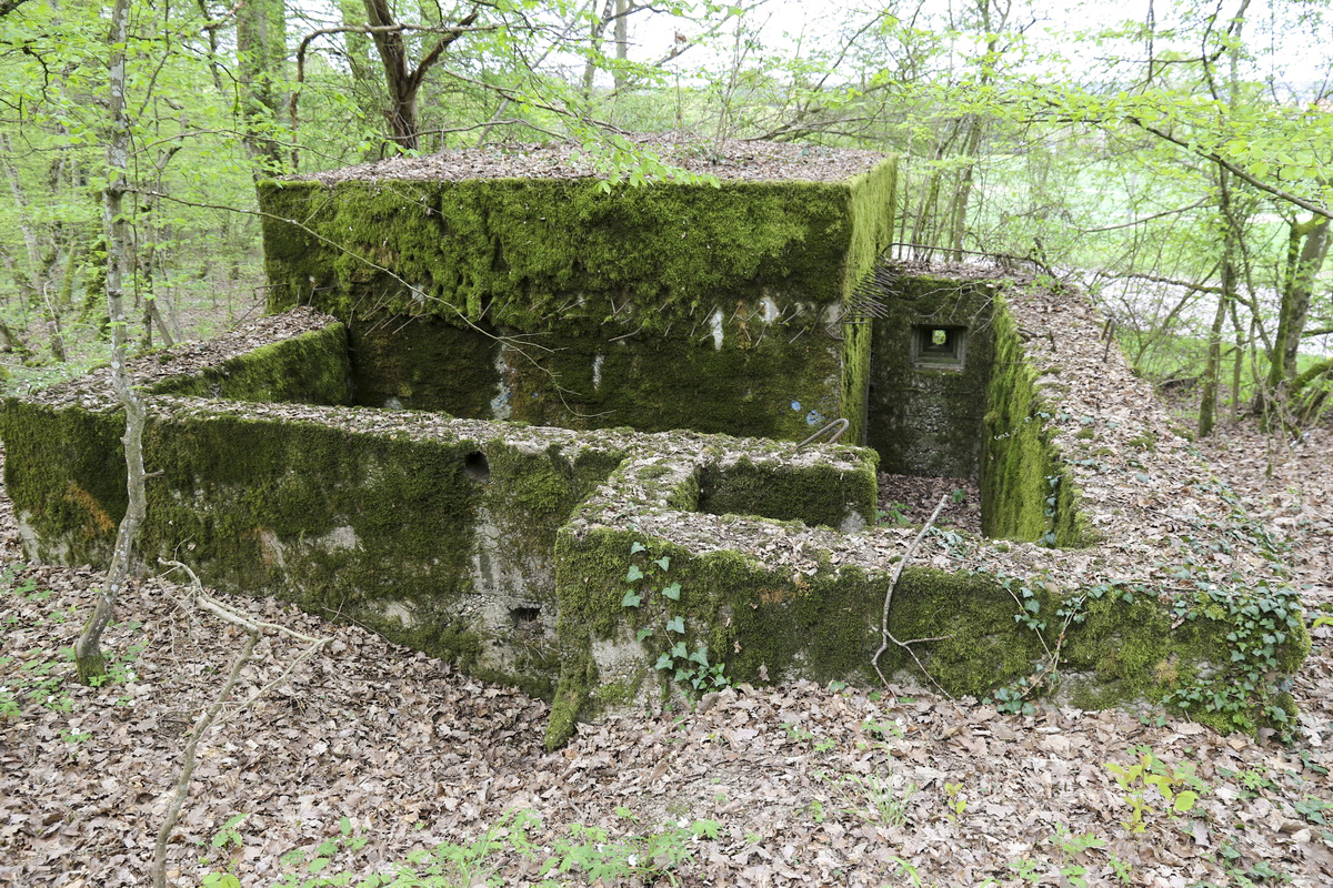 Ligne Maginot - CB260 - STRESSLING 1 - (Blockhaus pour arme infanterie) -  - Alain Perouffe
