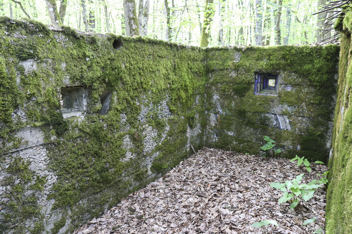 Ligne Maginot - CB260 - STRESSLING 1 - (Blockhaus pour arme infanterie) -  - Alain Perouffe